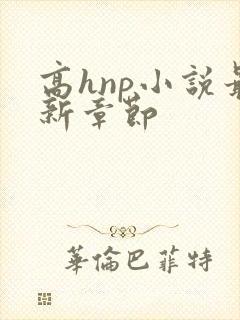 高hnp小说最新章节