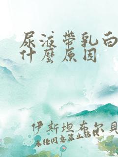 尿液带乳白色是什么原因