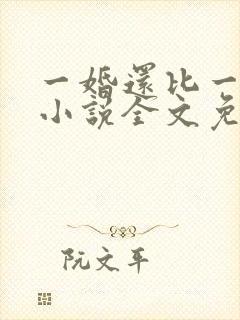 一婚还比一婚高小说全文免费阅读