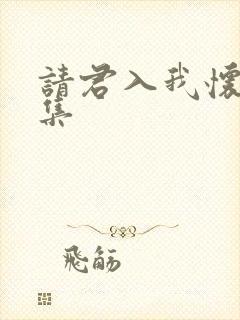 请君入我怀46集