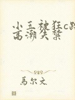 小玉被狂c躁到高潮失禁