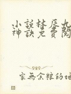 小说林辰九天斩神诀免费阅读