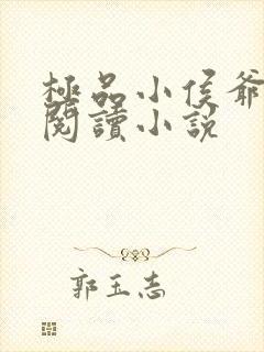 极品小侯爷全文阅读小说