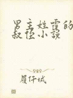 男主姓霍的总裁叔侄小说