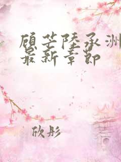 顾芒陆承洲小说最新章节