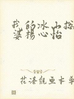 我的冰山总裁老婆杨心怡