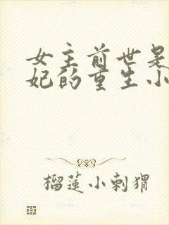 女主前世是太子妃的重生小说