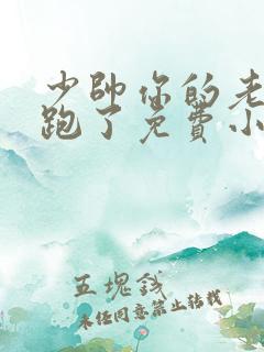 少帅你的老婆又跑了免费小说