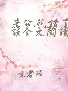 老公,我错了小说全文阅读