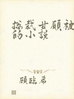 总裁甘愿被训诫的小说