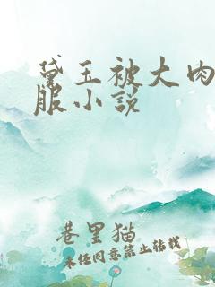 黛玉被大肉楱征服小说