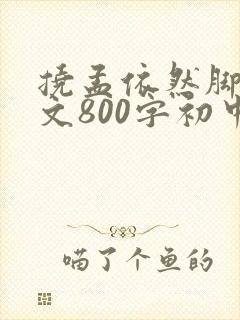 挠孟依然脚心作文800字初中