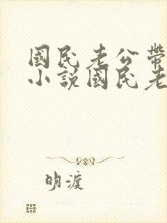 国民老公带回家小说国民老公带回家