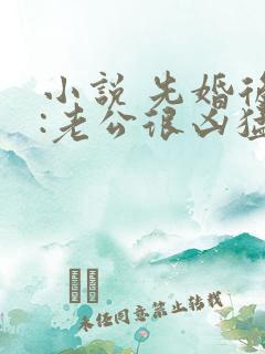 小说 先婚后爱:老公很凶猛