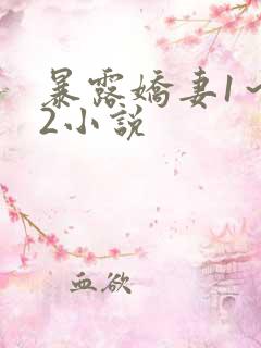 暴露娇妻1～12小说