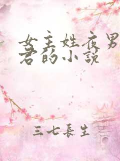 女主姓夜男主姓君的小说