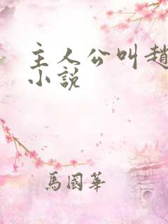 主人公叫赵辰的小说