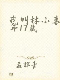 我叫林小喜,今年17岁