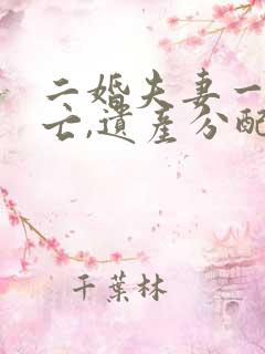 二婚夫妻一方死亡,遗产分配