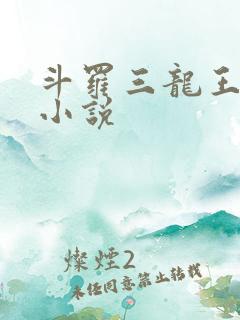 斗罗三龙王传说小说