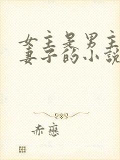 女主是男主下属妻子的小说