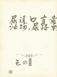 尿道口有黄色分泌物,尿路刺痛