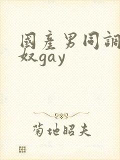 国产男同调教男奴gay