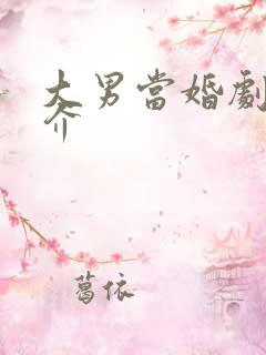 大男当婚剧情简介