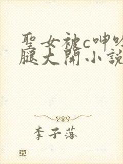 圣女被c呻吟双腿大开小说