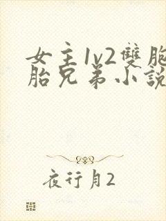 女主1v2双胞胎兄弟小说