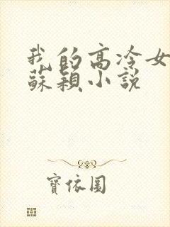 我的高冷女总裁苏颖小说