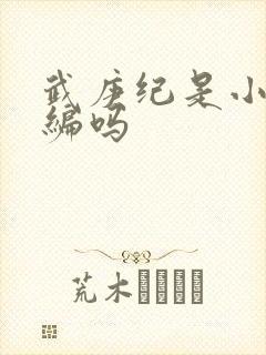 武庚纪是小说改编吗