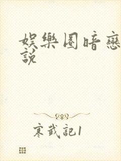 娱乐圈暗恋的小说