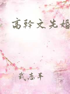 高干文先婚后爱