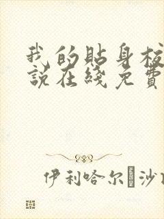 我的贴身校花小说在线免费