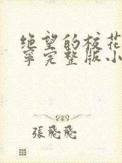 绝望的校花赵诗宁完整版小说