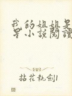 我的姐姐是大明星小说阅读免费