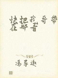 快把我哥带走能在哪看