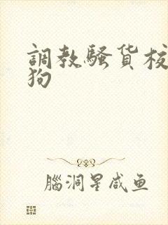 调教骚货校花母狗