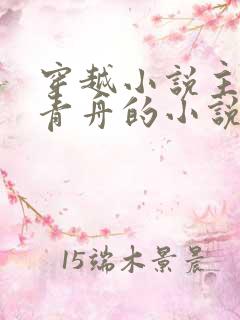 穿越小说主角洛青舟的小说免费阅读