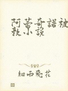 阿蕾奇诺被性调教小说