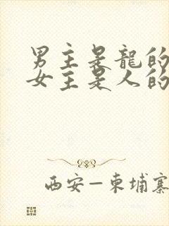 男主是龙的小说女主是人的