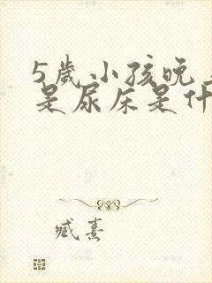 5岁小孩晚上老是尿床是什么原因