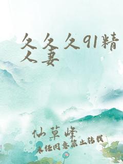 久久久91精品人妻