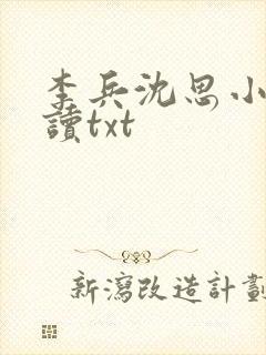 李兵沈思小说阅读txt