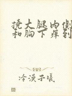 挠大腿内侧腋窝和胸下痒到崩溃视频