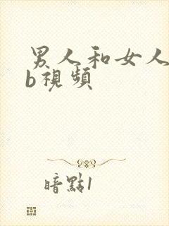 男人和女人插bb视频