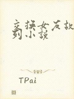 交换女友故事系列小说