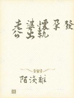 老婆怀孕发现老公出轨