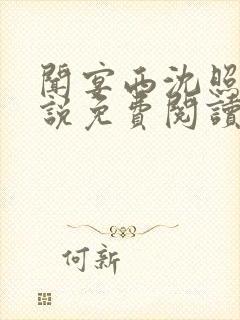 闻宴西沈照月小说免费阅读最新章节